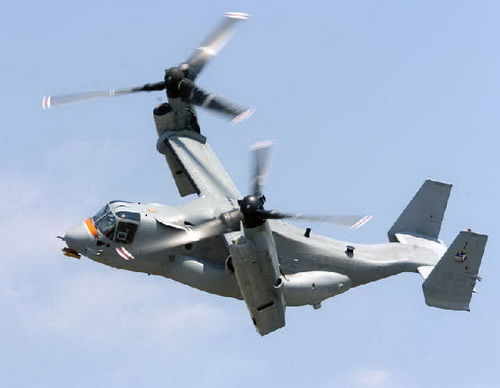 ��������פ������ӥ��12����Ѯ��ʽͶ��ʹ��