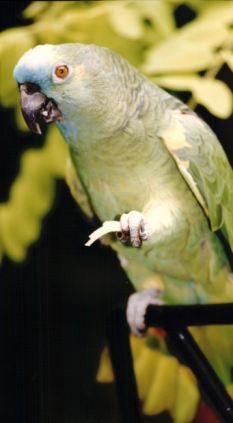 ���ӷ�ҩ�������¾���ʧ�ش���18�����ģ�ͼ��