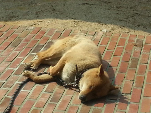 �������ϴ�ǰ����һ������˯�շ������ң�ͼ��