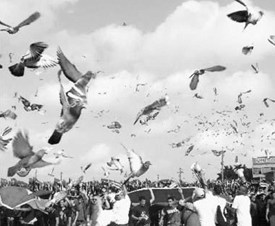 ���ڡ���һ����֪���٣�ȫ����80��������Ͷ���