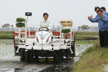 �����������������ѡ�ƫ�ҡ�Ц���Լ����̣�ͼ��