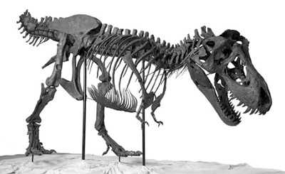 ��ѧ�����������������ϸ������ҵ�缤������