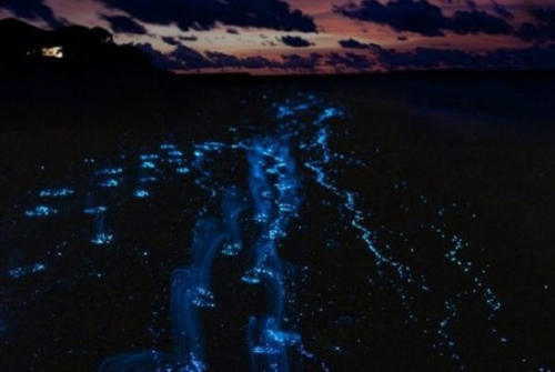 �̵���Ȼ���Ӿ�ʢ��:�����ꡱ֮������δ�⣨ͼ����3��