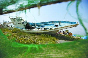 �ձ�ǧ�����ֿ���Ų�����������;��������