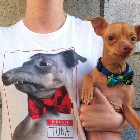 ������С��ҧ�ϲ������������������������Ȯ