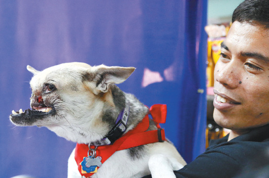 �ư�������Ȯ�����������Ʒ����ܵ�Ӣ��ʽ��ӭ