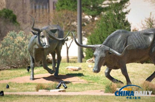 ����14��������׽�Բر�����ţ�Ǵ̴�������ͼ��