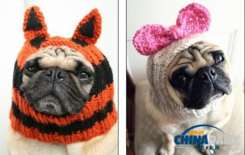 Ů��ѧ���Ƴ�����ר�÷��α�ůͬʱ���˰���ͼ��