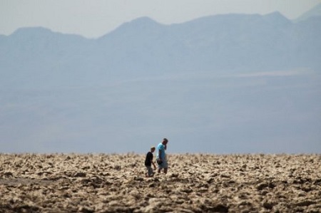 ����Ϯ�����ο���ʯ�ϼ嵰���ȹ�԰æ��ͣ��ͼ��