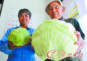 �ձ��˷�����Ⱦ�¹��߱���ﳤ��Ҳ��̶ã�ͼ����2��