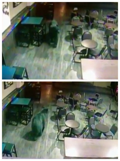 ���ܴ����ư��й��ϰ�͹˿���ȫû���֣�ͼ��