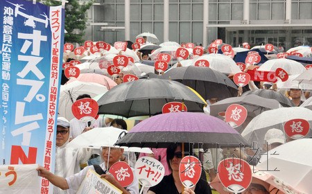 �������ڿ��鲿����ӥ����Ҫ�����������