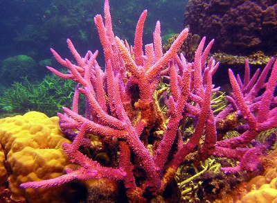 ɺ���з���ǿ����ɹ���ʻ���Ʒ�ɹ�飨ͼ��