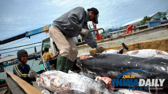 ӡ��ӡ�ȱ���Ϊȫ����������������ȫ��1/5