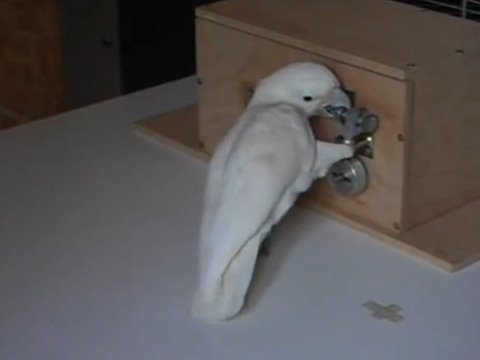 Ӣ��������ѧ���о���������2Сʱ�ڽ�5������ͼ��