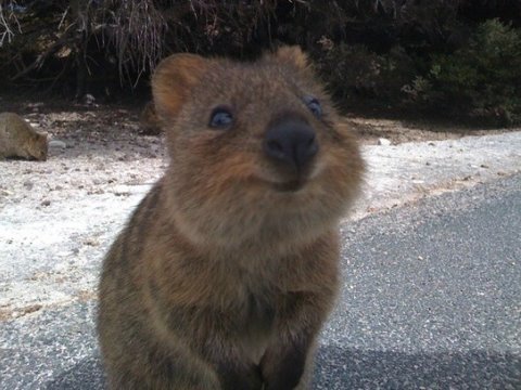 ��˯������΢Ц��β������������ֶ��ͼ��