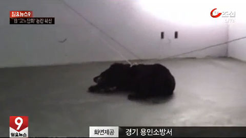 ������ͣ����ð��һ������̱������ͻ�������