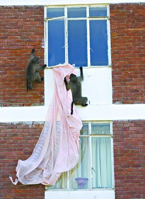 �������ڰ�ư��Ϸǽ�ͷ�����������Ŵ��