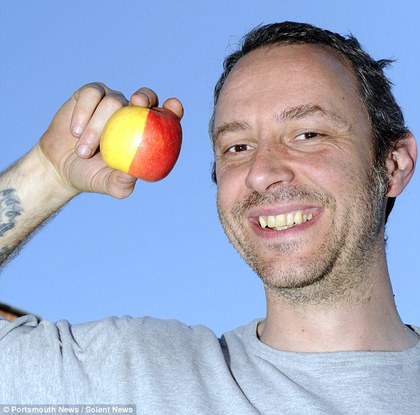 ����˫ɫƻ������Ӣ�����Ǳ�������һ��ͼ��