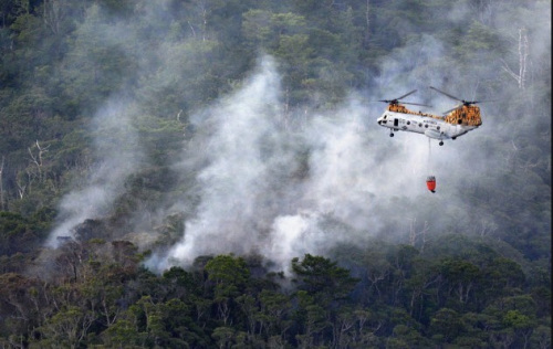 驻日美军因坠机事故决定延迟“鱼鹰”追加部署