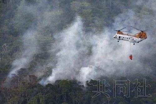 美直升机坠毁冲绳分析称美将慎重关注当地反应