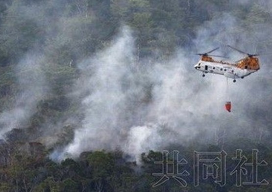 美军直升机坠毁一遇难者遗体被发现身份未确定