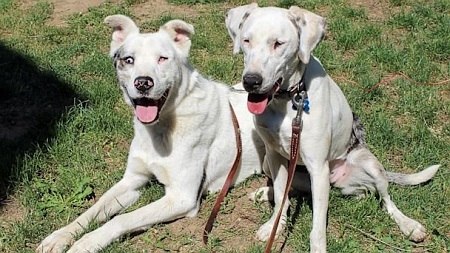 �����ҵ��������ҵĶ������м��������ĵ���ͼ��