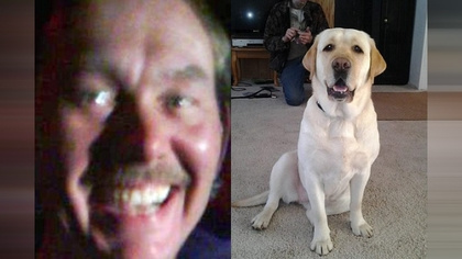 ��������ָ���ж����������ը������ը����ͼ��