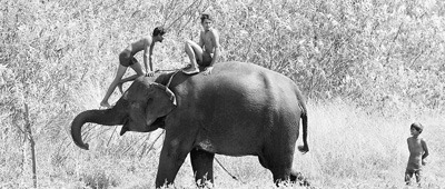 ���¡����顱ȫ��Ӣ��������ε¹���·ɹ��