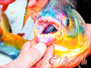 ��䡰�е��㡱רҧغ�����Ա��������Ӿ��ͼ��