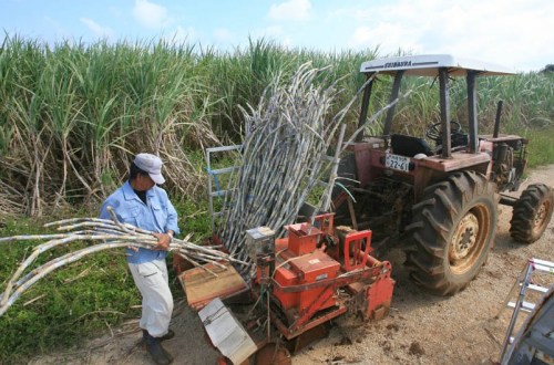 �ձ����׵�����������ʽ10���Ӻ��콵����