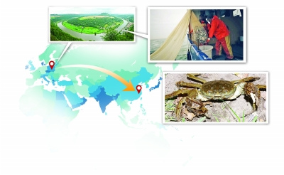 �ڵ¹����ĳ��ֵĴ�բз�������й��˲�����ͼ��