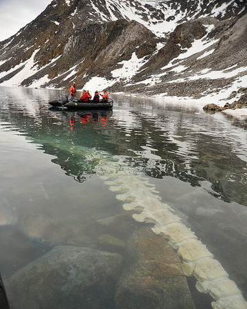 ���뾨�ⱱ���ܿй�޴�׵����û��ˮ�ף�ͼ��