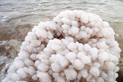 Լ��������10����Ԫ�Ӻ캣������ˮ������