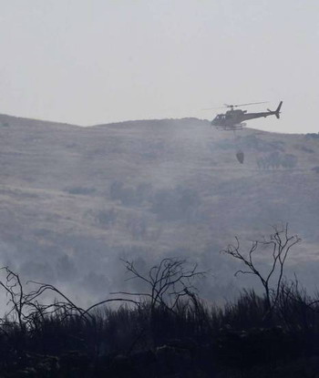 ����������ɭ�ִ��450����ɭ�ֱ��ջ٣�ͼ��