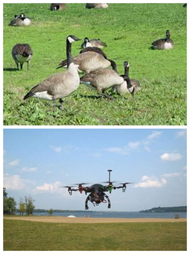 Ұ��ռ�캣̲��ش�С����ô������˻�����