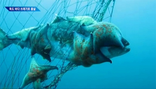 ������̽�ú������鵺���������澰��������ͼ��