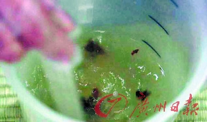 ��������ҩ�����ж�ͯ���ҩЧ����ɳ��̣�ͼ��