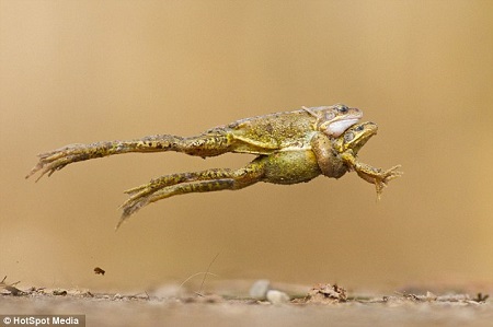 ���ܱ�סͬ����Ծ�ڿ��Ƴ���ЯŮ����У�ͼ��