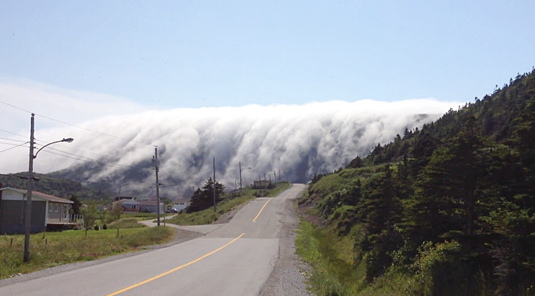 ��桰�������ꡱ���ô�Ũ�����������·��ͼ��