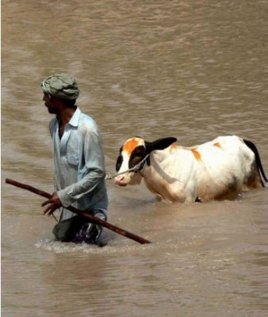 ��ý���ͻ�˹̹���������165��������ͼ��