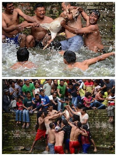 �Ჴ����л����׼�����Ů���ⳤ��������