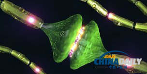 ˯�߿ɲ�����ϸ��ȱ��˯�߻�ʹ�෢��Ӳ������