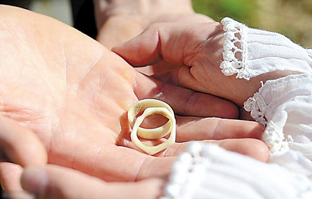 英国夫妇1英镑办省钱婚礼只有婚纱花钱购买(图)