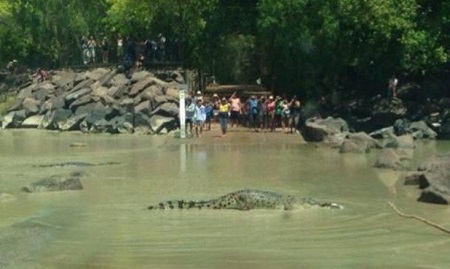 �Ĵ�����һ������ʮ��·�����������½�ͨͣ��