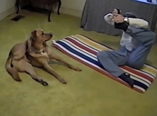 ��ѧ������������һ��ֱ����չ���Ժ�ͼ��