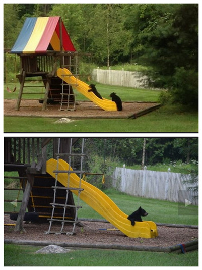 ��һĸ�ܴ��Ӵ���լ��ʳ��С���Թ������ﻬ��