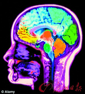 �����з���ϡ���������������������Ǯ��ͼ��