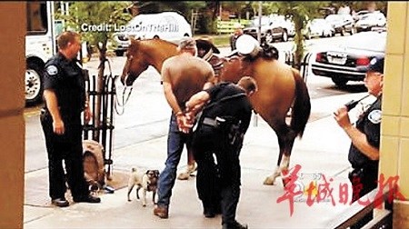 美国男子酒后骑马被捕面临虐待动物指控(图)
