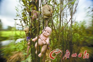 ����������ũ������ѡȫ��ʮ��㤵ص㣨��ͼ��